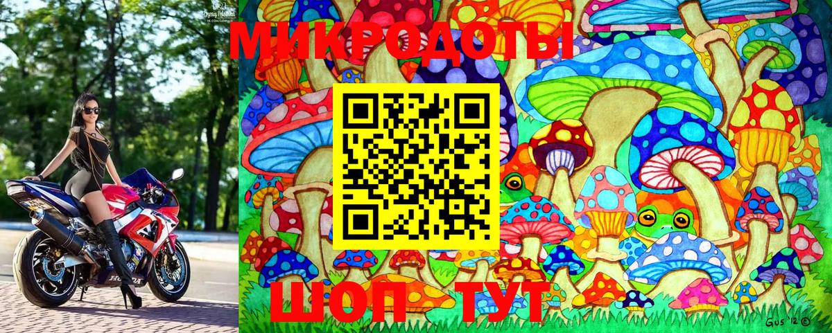 Звенигород  Галлюциногенные грибы GOLDEN TEACHER  Псилоцибиновые грибы MAGIC MUSHROOMS  Вход с VPN 